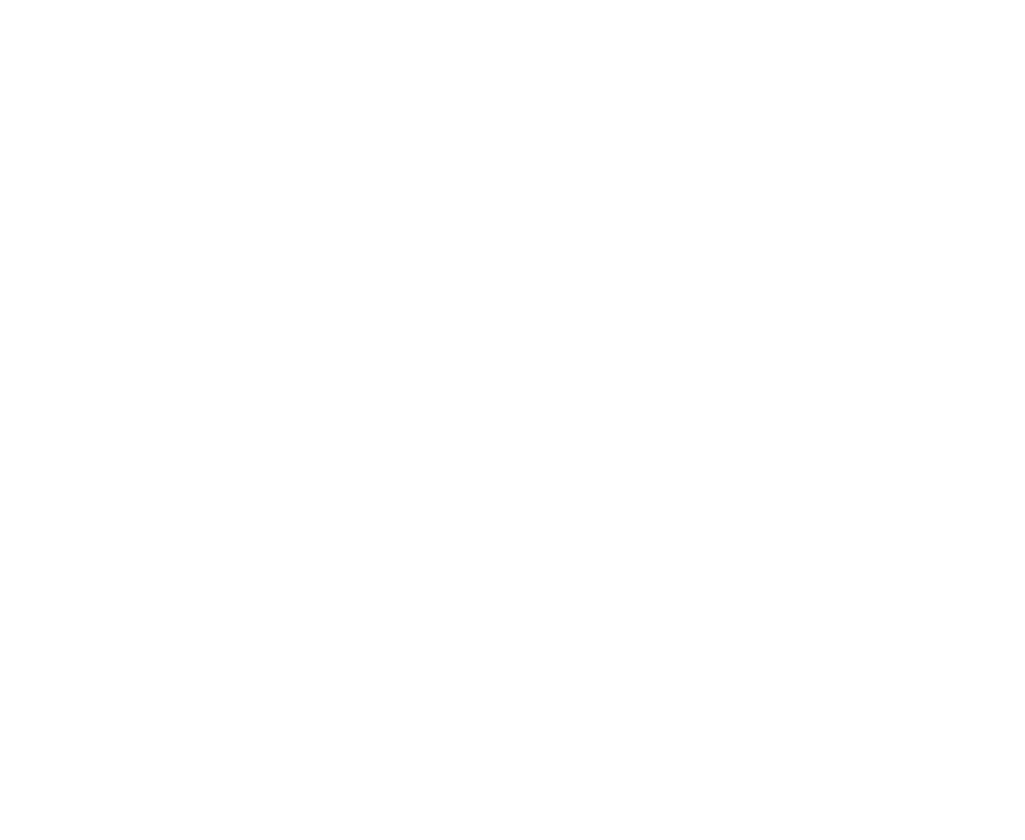 lenz_title