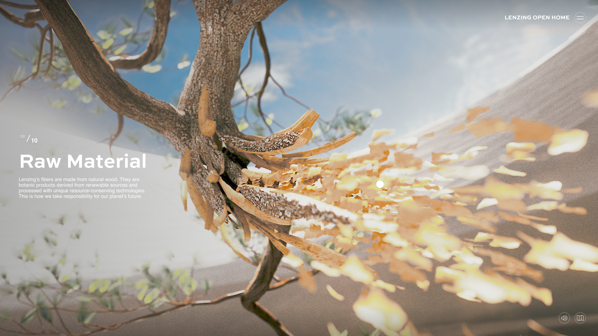 EXPERIENCE_WOOD_CHOPPING_WOOD